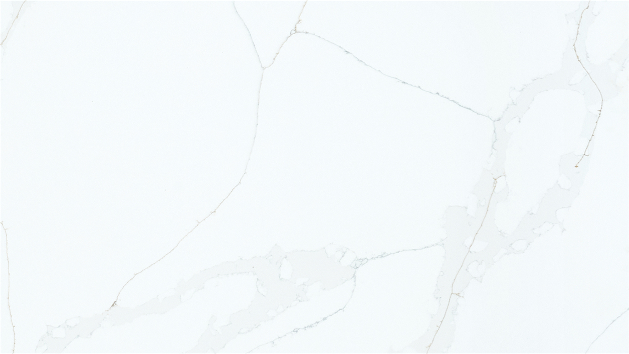 T079 Pastel Cello Warner Stone